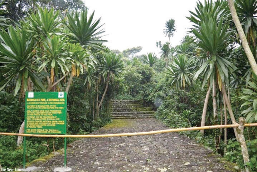 The grande entrance at Buhanga Forest.