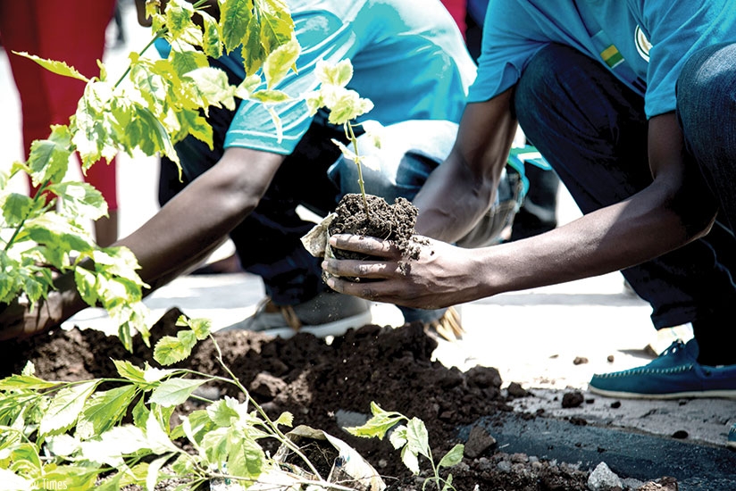 Residents of Rubavu plant trees during umuganda last year. file