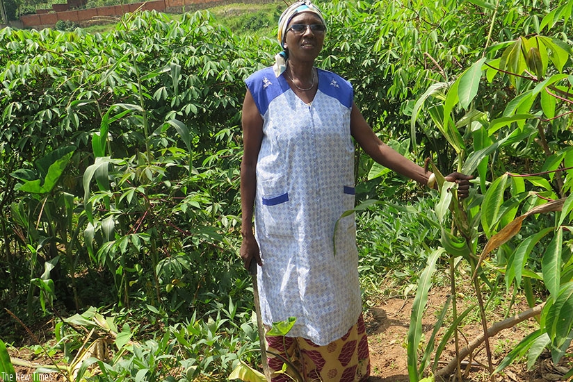 Some residents have blamed the rise in food prices to the fact that many people have abandoned farming. (File)