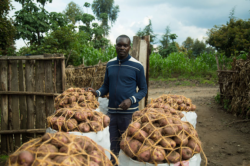 Photos: Timothy Kisambira