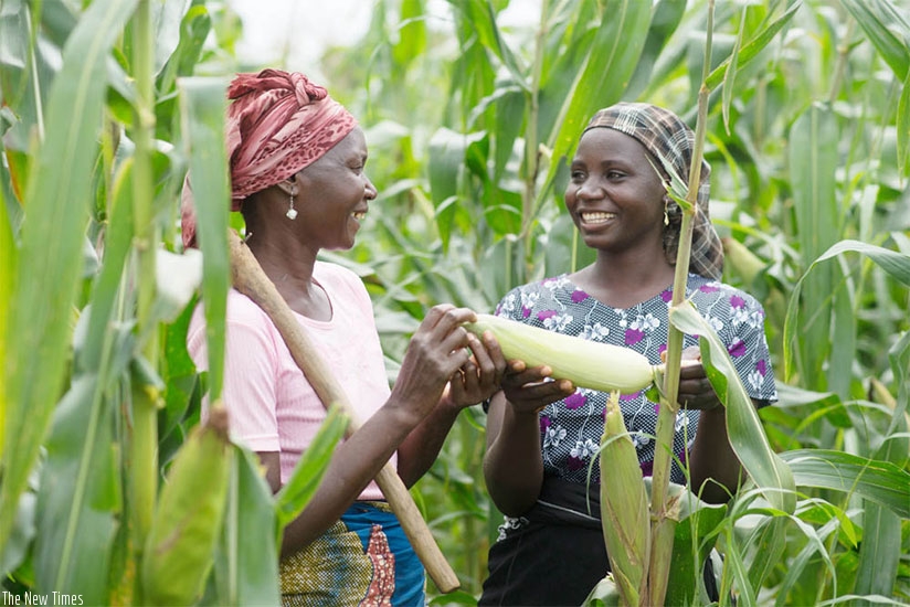 Women are encouraged to engage in income generating activities. (File)