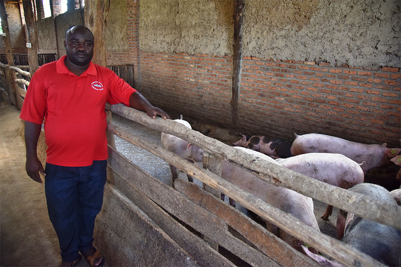 Ngirumugenga at his piggery in Rwamagana District. / Courtesy