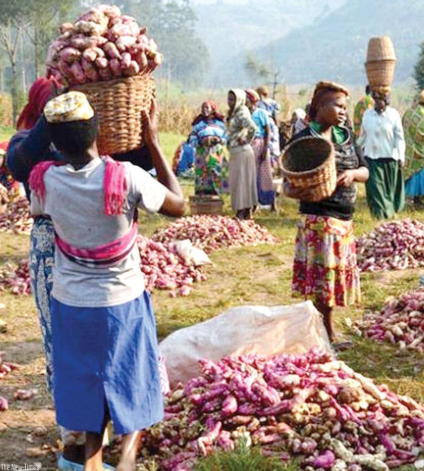 Women form a big part of the informal sector, according to different studies. / File.