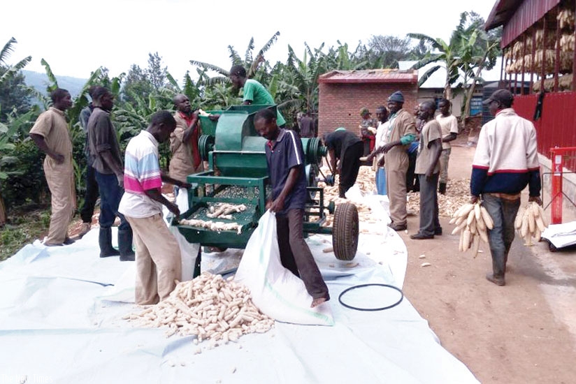 Government is supporting SMEs engaged in processing to increase their contribution to GDP. / File.  