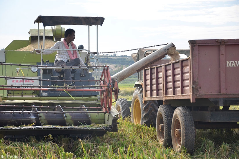 Mechanisation, like use of combine harvesters, reduces post-harvest losses. / Kelly Rwamapera.  