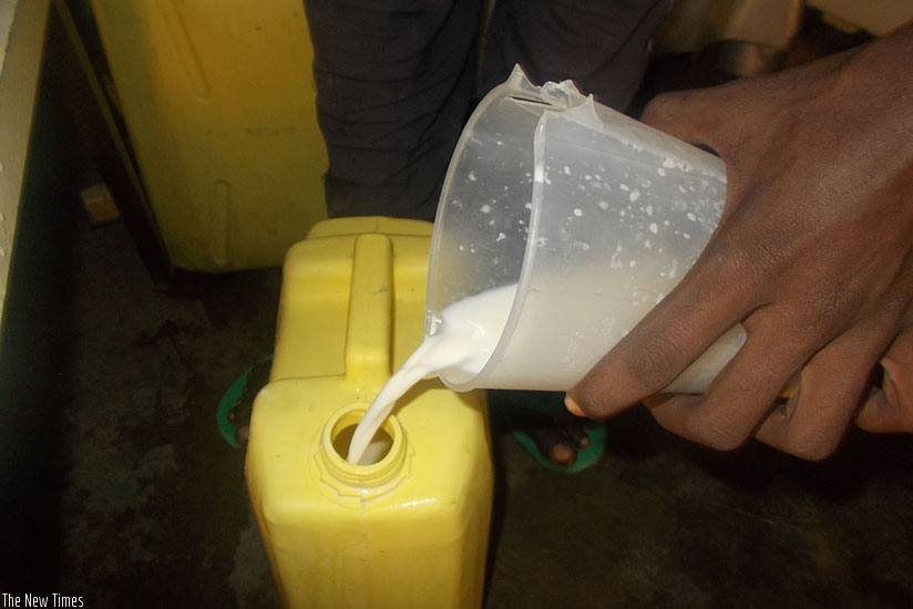 A milk vendor pouring milk into a jerry can at one of the shops in Kigali suburb / Elias Hakizimana