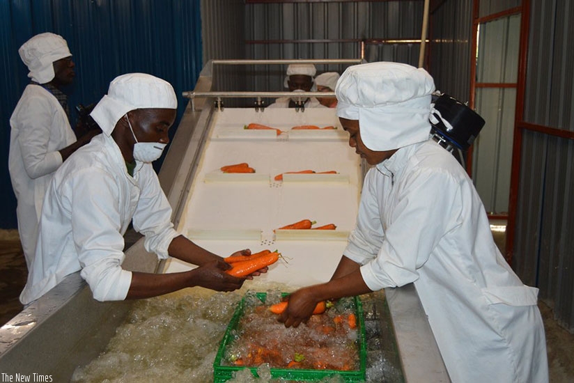 Workers at Get It Rwanda wash carrots before they are packaged.  Elisee Mpirwa.