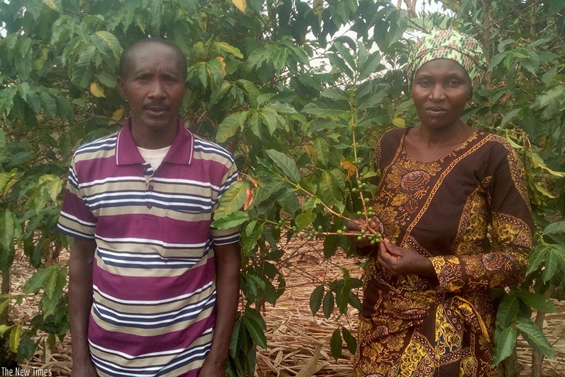 The enterprising farmer and her husband in their coffee plantation. / Remy Niyingize.