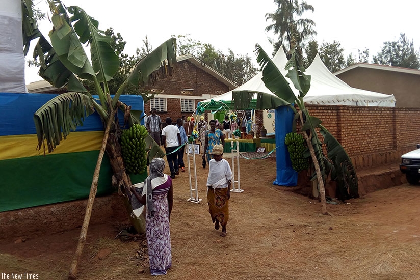 A polling station at Lycee Islamique de Rwamagana decorated in agricultural productivty theme. Steven Muvunyi.