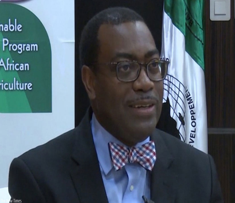 Akinwumi Adesina, the AfDB chief executive. 