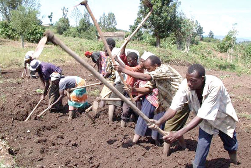 Some locals till land in preparation for planting. Value addition in agriculture is among the strategies being used to fight poverty. Net photo