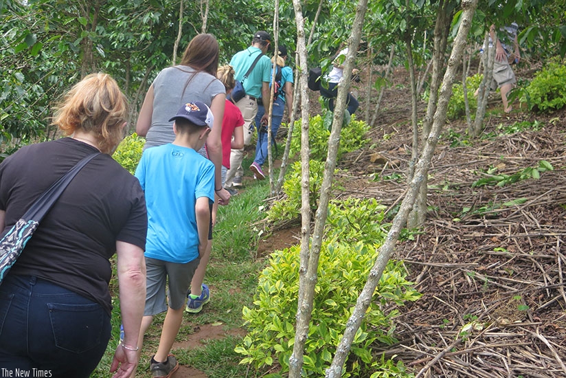 Tourists hike through Huye Mountain Coffee plantation. The firm promotes agro-tourism. / File.