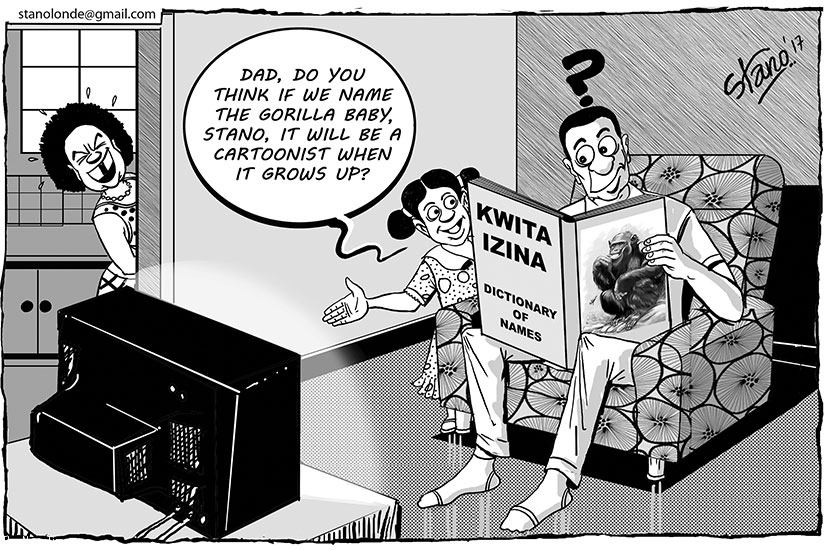 For conservation enthusiasts, all roads will lead to Kinigi today for the annual baby mountain gorilla naming ceremony, Kwita Izina.