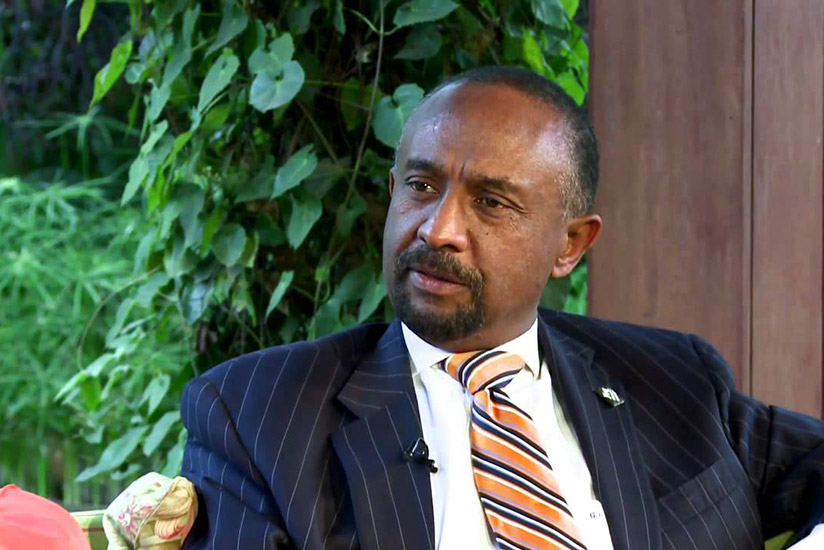 Negatu said AfDB's interventions will be financed by a range of instruments including investment loans and grants from concessional or non-concessional windows, among others. / Internet photo