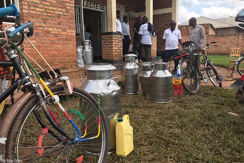 Farmers wait for their milk to be tested at Kajevuba collection centre in Rulindo District. (Net photo)