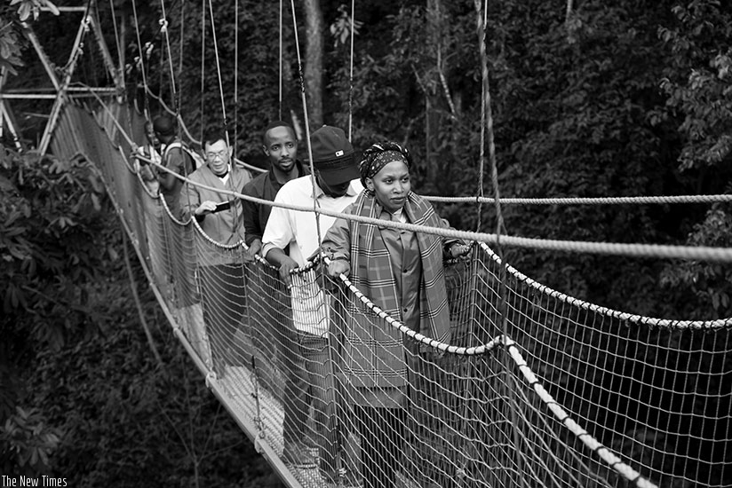 Local and foreign tourists enjoy the 'canopy walk' in Nyungwe National Park. Product diversification is instrumental in growing the local and continental tourism industry. / Faustin Niyigena.