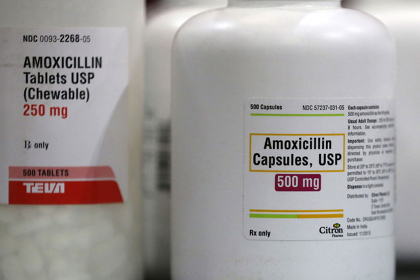 Researchers at the Wyss Institute have found that our current assumptions about antibiotics may be incorrect. / Internet photo