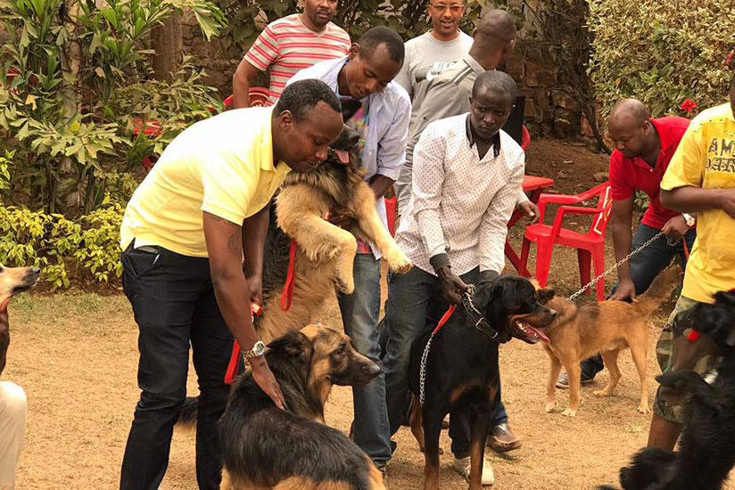 Members of the Rwanda Dog Lovers Association. / Courtesy