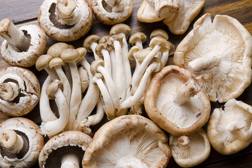 Mushroom and soya bean products should be eaten regularly as they contain anti-cancer elements.  / Net.