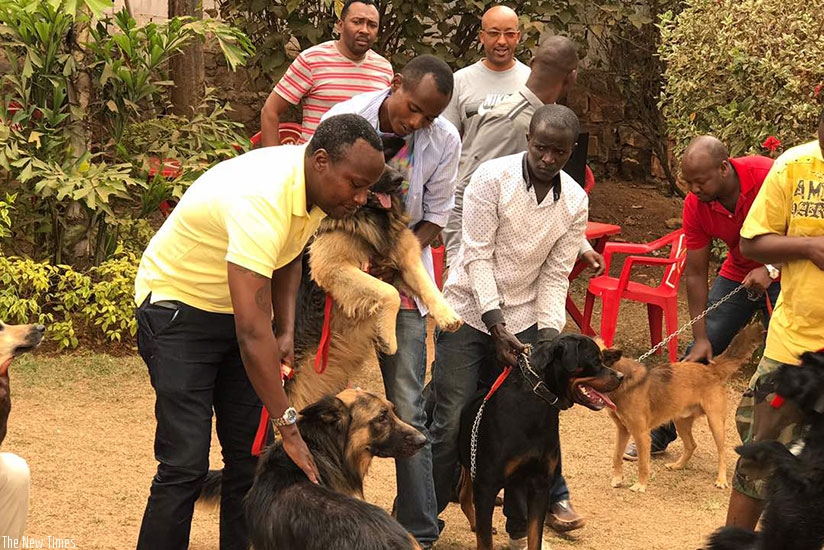 Some of the members of the Rwanda Dog Lovers Association with their dogs in Kigali recently. courtesy. 