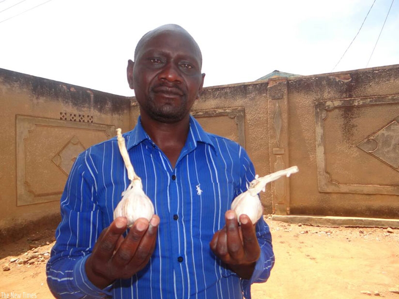 Semugeshi displays garlic bulbs. / Michel Nkurunziza
