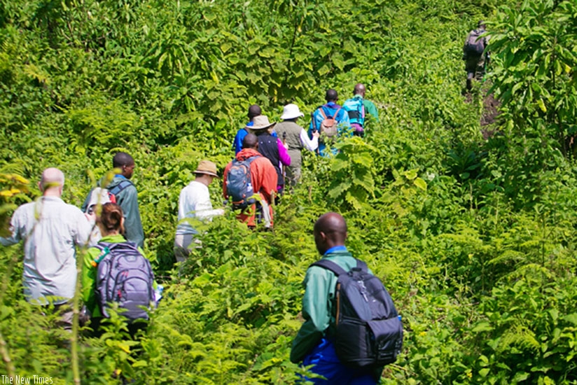  Tourists trek to Karisimbi camp in northwestern Rwanda. File.