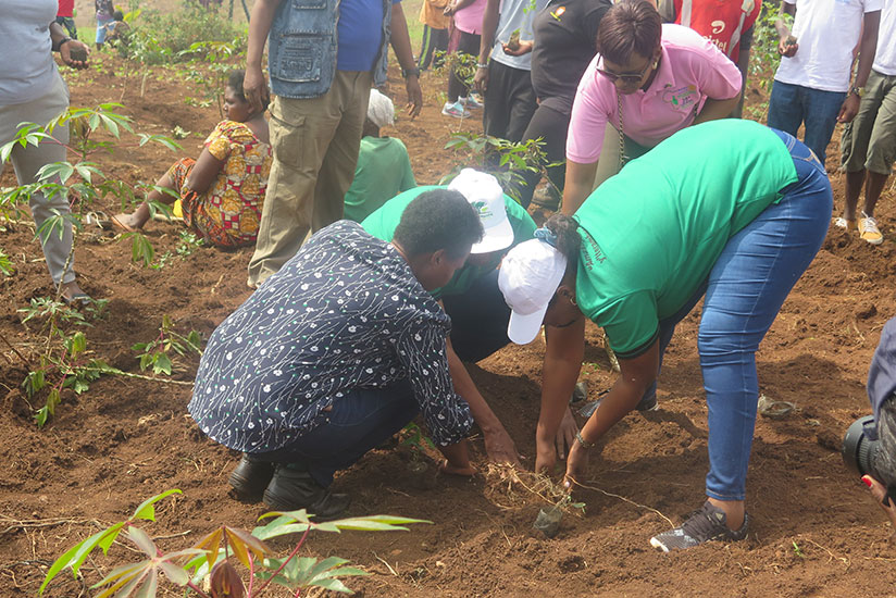 Minister of Lands and Forestry, Francine Tumushime, (right) and Kicukiro Mayor, Jeanne Nyirahabimana, join residents of Kicukiro District in a tree planting drive yesterday. Over 6....