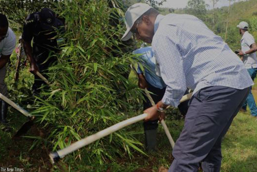 Residents weed under bamboo trees planted as part of the green growth agenda. (Courtesy)