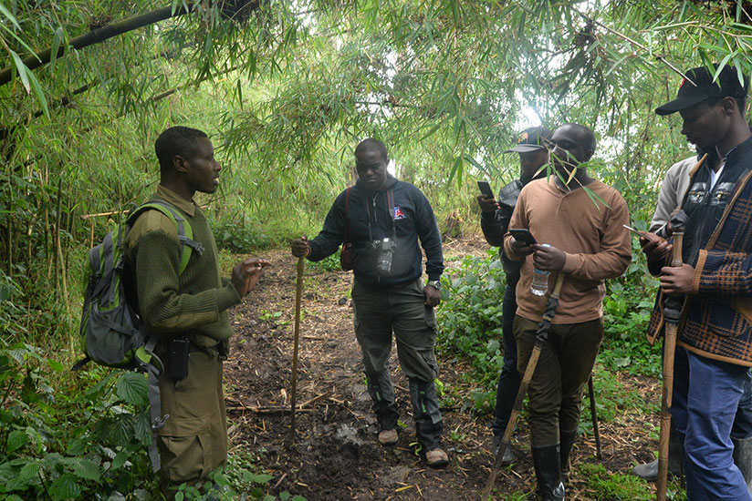 It is important to listen to the guide and not the phone. It is important to listen to the guide and not the phone.