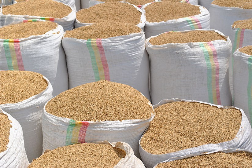 Over 3.9 million kilos of cereals were exported last week. 