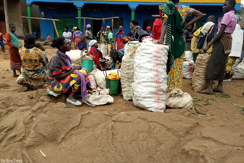 Irish potato dealers at Rukiko Centre in Burera District. Emmanuel Ntirenganya.