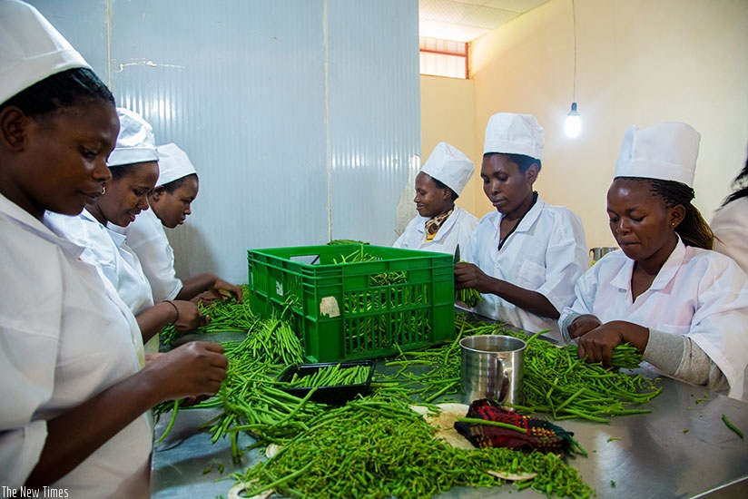 Women at Proxifresh, an exporting company package French beans for export. (Faustin Niyigena)