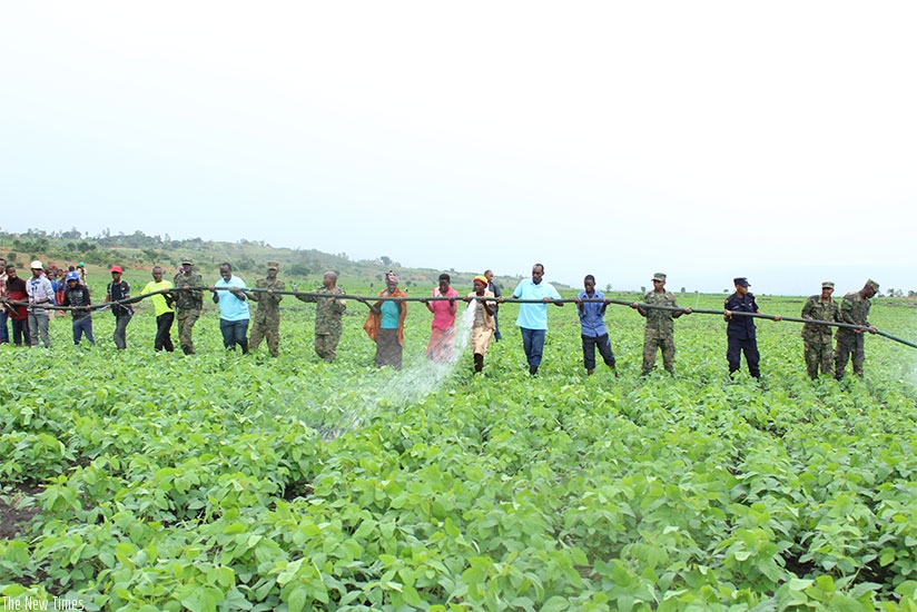 Officials join the residents of Nyamugali in Kirehe  District to irrigate crops in December. Kelly Rwamapera. 