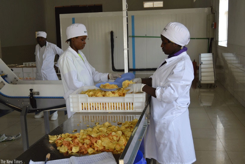 Workers at Nyabihu potato processing factory sort crisps before packaging. File.