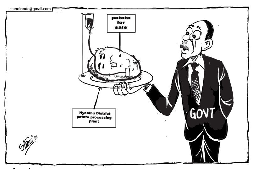 The Government is in the process of privatising the Nyabihu District-based potato processing plant amid tight market and low production capacity.