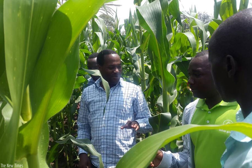 An agronomist talks to farmers in Gatare, Ruhango during the officials' tour on Thursday. M. Nkurunziza. 