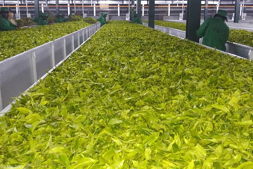 Workers monitor the production process./ Frederic Byumvuhore.