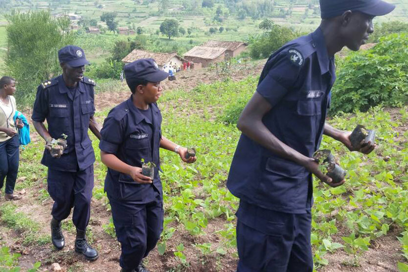 Police officers planting trees in last December. (Courtesy)