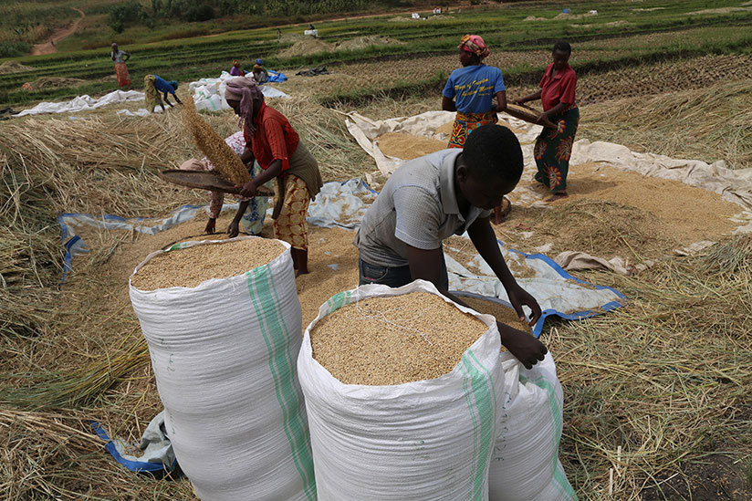 The investors will explore opportunities various sectors like agriculture.