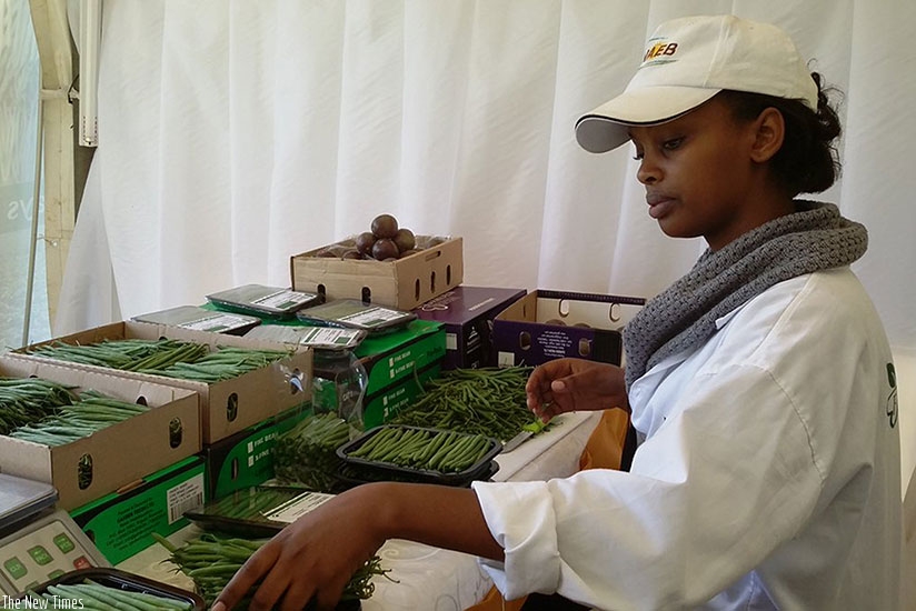 French beans are among produce exported by Nature Fresh Foods that have got certified. / Courtesy.