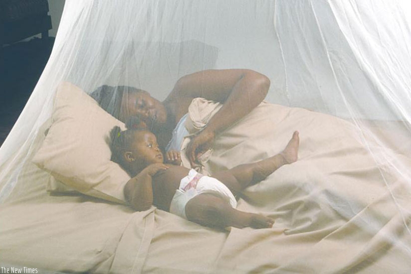 A mother and her child sleep under a mosquito net. File.