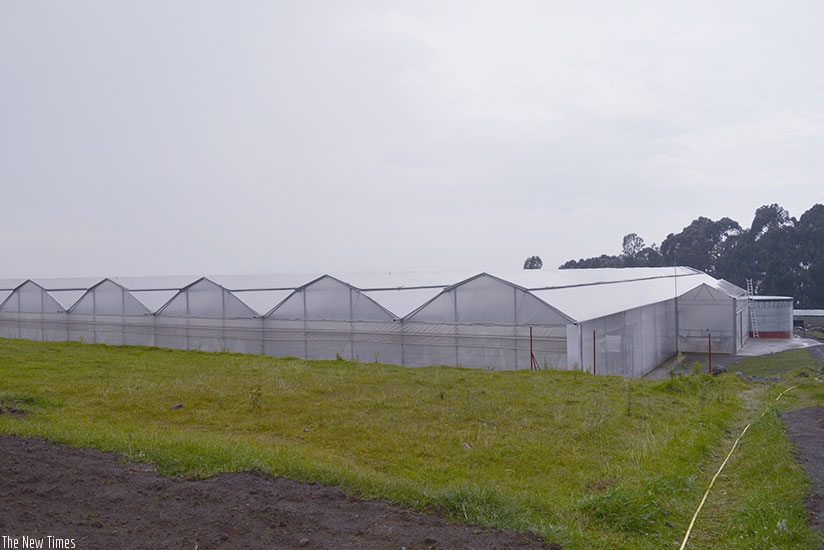 The Horizon SOPYRWA Greenhouse Project aims at contributing to the agro-economic development of Rwanda, increased potato seeds quality and sustainability, food safety and security,....