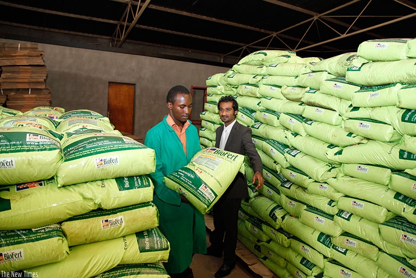 A worker lifts a bag of fertilisers in one of the stores in Gikondo. Timothy Kisambira. 