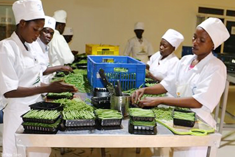 Women prepare horticulture produce for export.  (File)