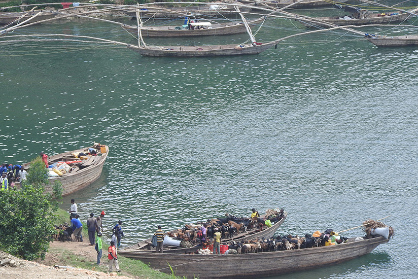 DR Congo-bound traders load livestock and other commodities on small. A plan to improve water transport has been unveiled by government. / Michel Nkurunziza.