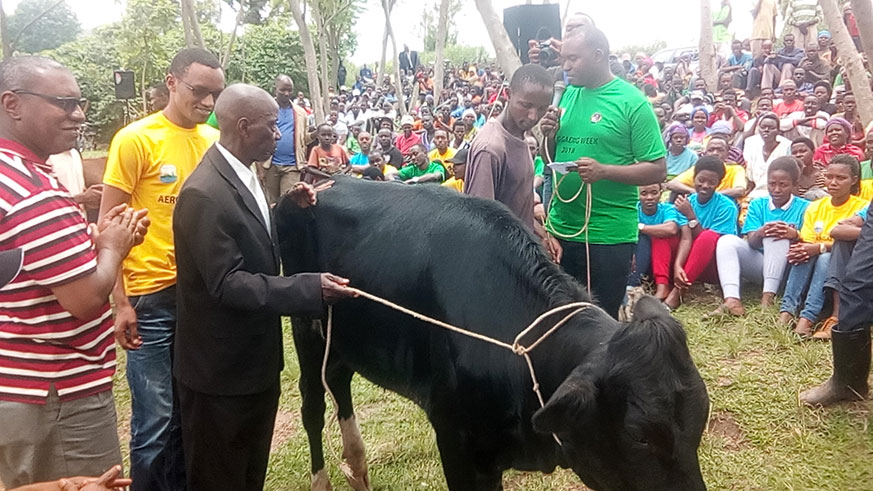 One of Abarinzi b'Igihango provided  a cow by AERG.Michel Nkurunziza