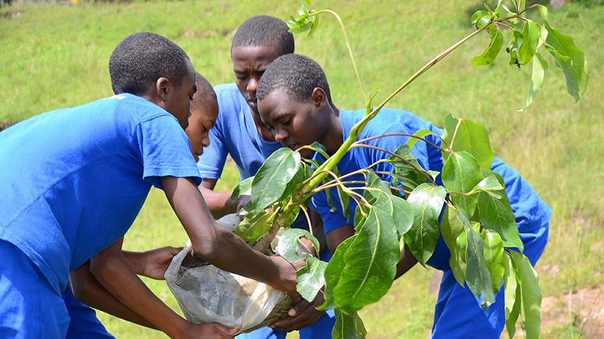 Protecting the environment is a programme the students embarked on. Frederic Byumvuhore.
