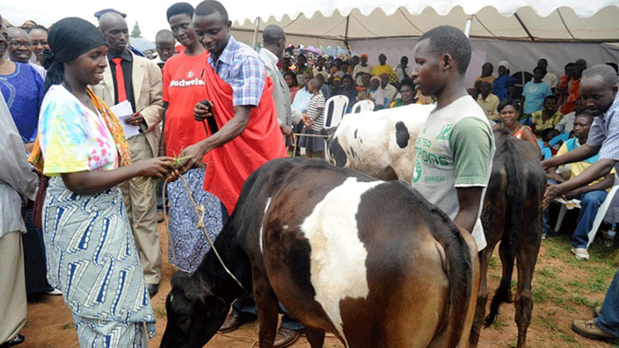 Girinka beneficiaries receive cows during a past event. File