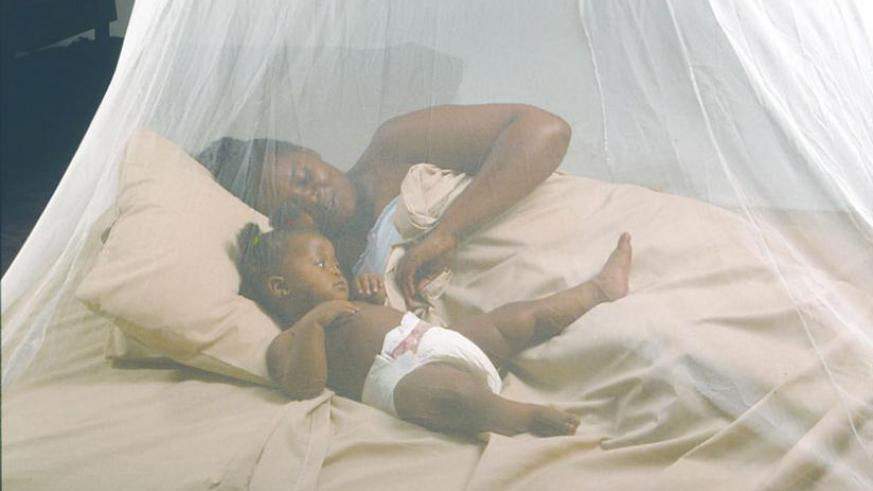 Sleep under a treated mosquito net to avoid malaria. File photo 