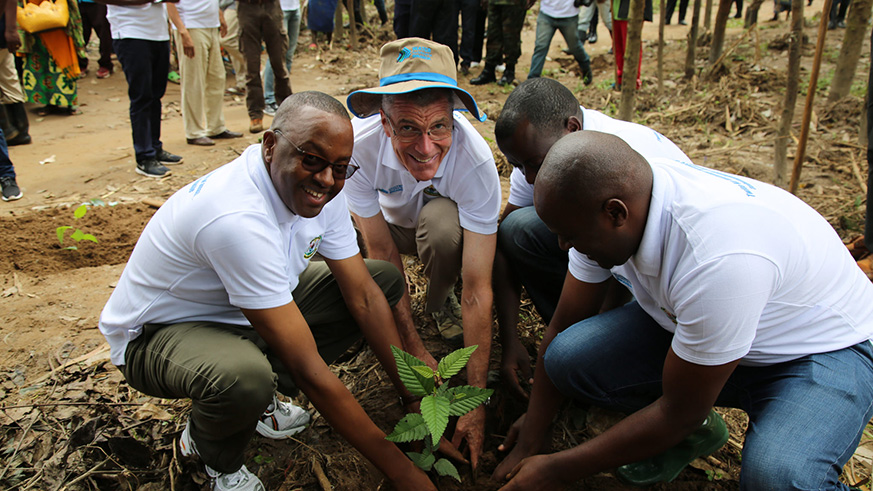 Rwanda Arboretum in Huye District.